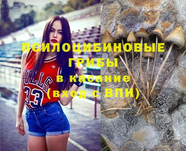 МДПВ Майский