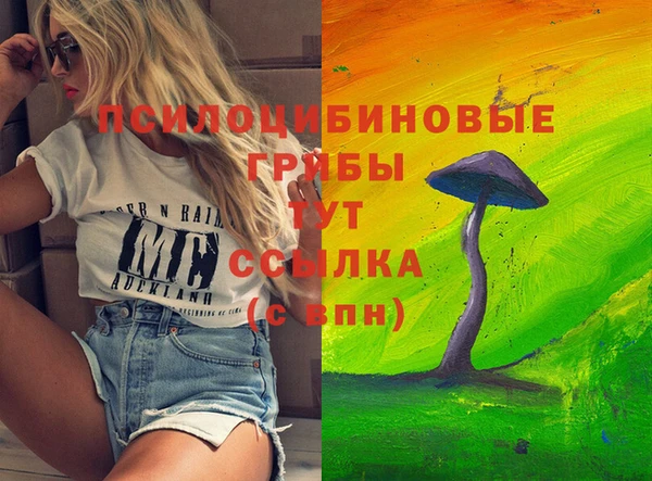 spice Лихославль