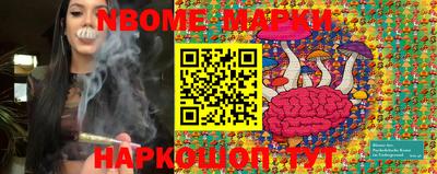 гашик Аргун