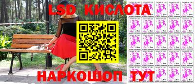 гашик Аргун