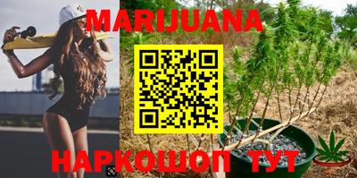 гашик Аргун