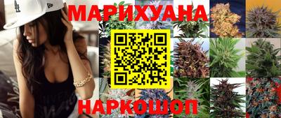 индика Будённовск