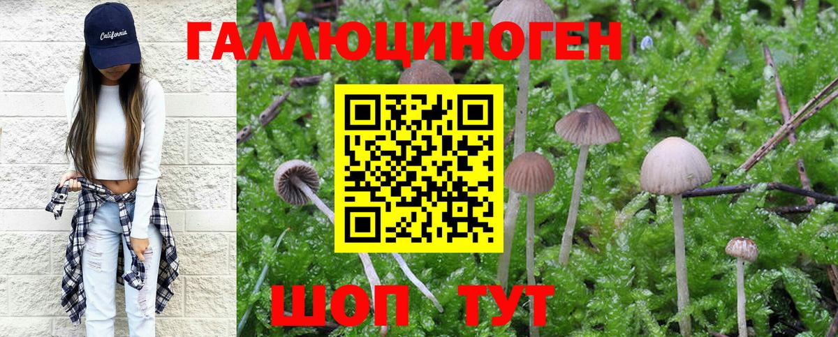 Псилоцибиновые грибы мухоморы Барнаул