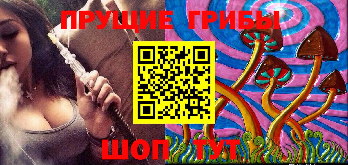где найти наркотики  Барнаул  Псилоцибиновые грибы Magic Shrooms  Псилоцибиновые грибы Psilocybe 