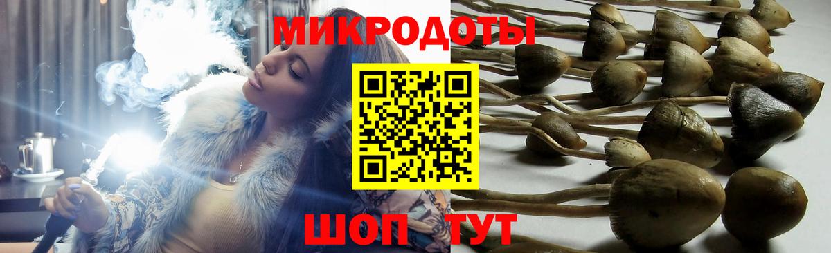 Псилоцибиновые грибы Cubensis Барнаул