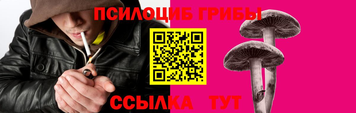 Галлюциногенные грибы прущие грибы  Вход с VPN  сколько стоит  Барнаул 